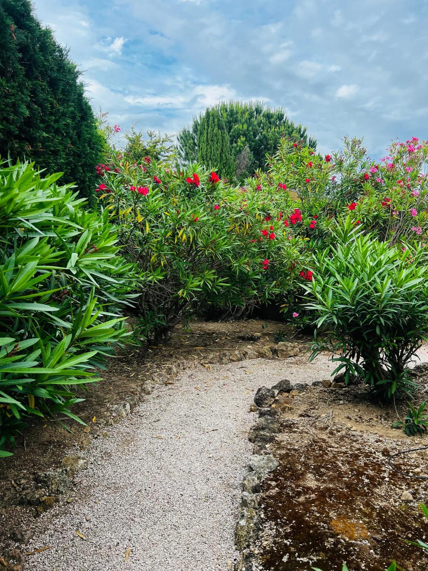 Superbe Villa, Piscine Chauffee, Jardin, Climatisee, Proche Du Village Le Plan-de-la-Tour エクステリア 写真